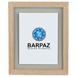 barpaz-logo
